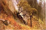 Landscape Study, Yosemite California Bierstadt